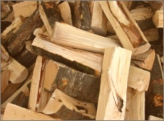 60 kg Brennholz Paket Buche inkl. 20 Anzünder (0,52¤/kg)